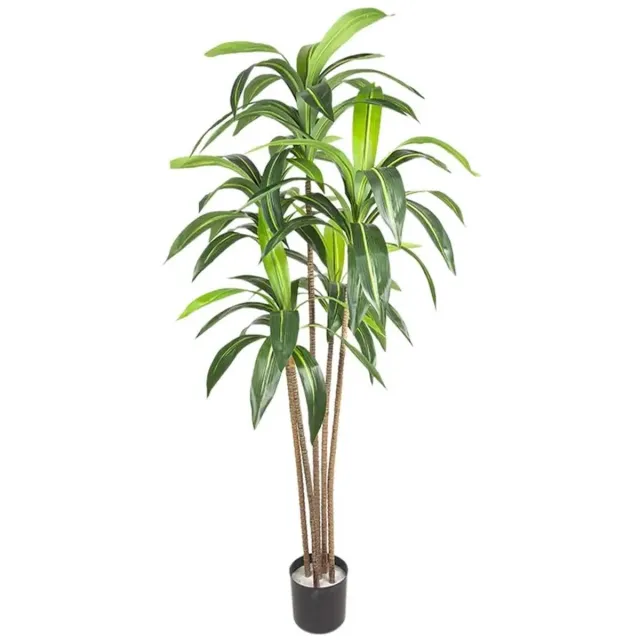 ITRONIQ Kunst Drakenboom 165 cm - Kunstplant Dracaena Met Realistische Stam en Bladeren - Onderhoudsvrij - Inclusief Pot - Groen