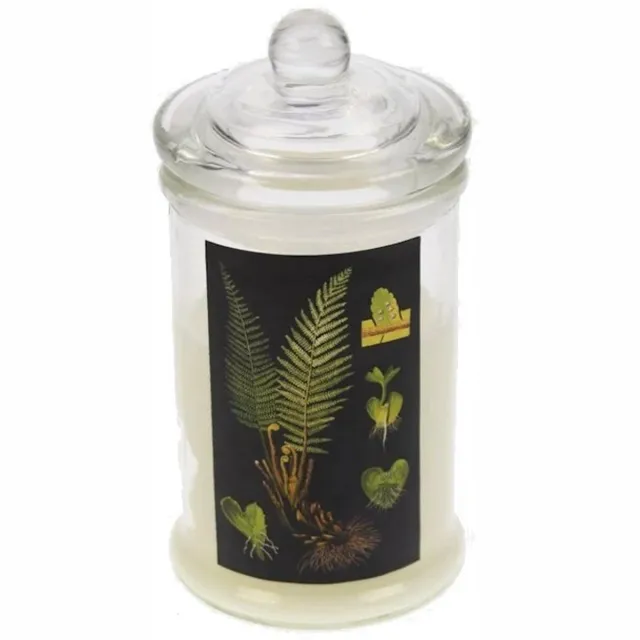 Meander Glass jar with Candle lid, ferns Ø7,5x16cm lavender Zie foto