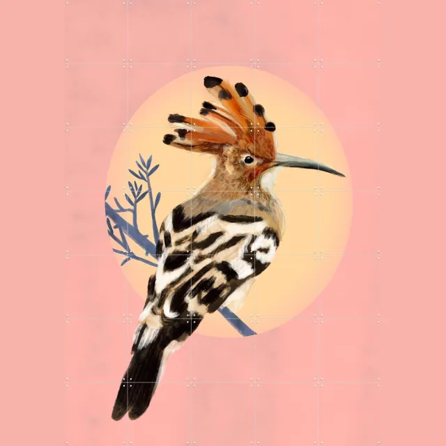 IXXI Hoopoe, Esther Sepers - 100 x 140 cm - Grote wanddecoratie en posters - Kleurrijk, Speels, Digitale Kunst, Illustraties, Woonkamer, Natuur Roze