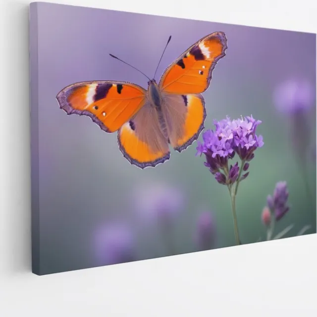 Saammp Canvas Schilderij -Vlinder op paarse bloem - Dieren - Natuur - 120x80 - Foto op canvas - Wanddecoratie - muurdecoratie Woonkamer - Slaapkamer decoratie - Canvas Print Multicolor