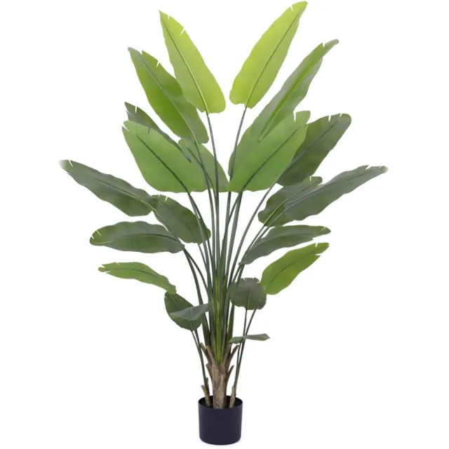 homebound by ky Kunstplant Strelitzia 230cm Meerkleurig