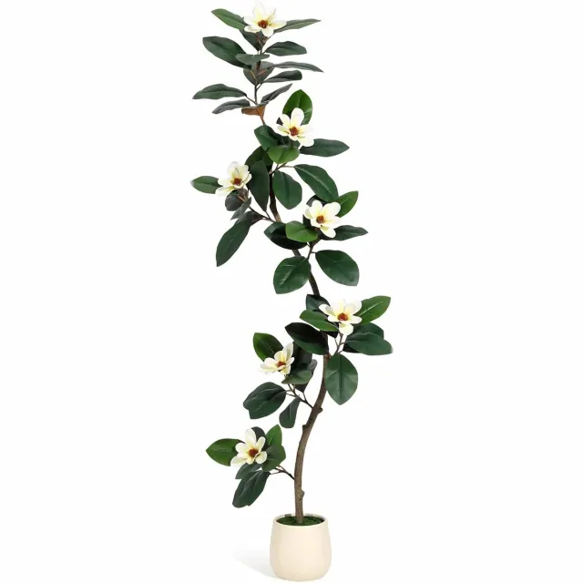 Happiq Kunst Rubberboom met Magnolia Bloemen 183cm - S-Vormig Realistisch design - Groen Kunststof met Witte Pot - 213 cm