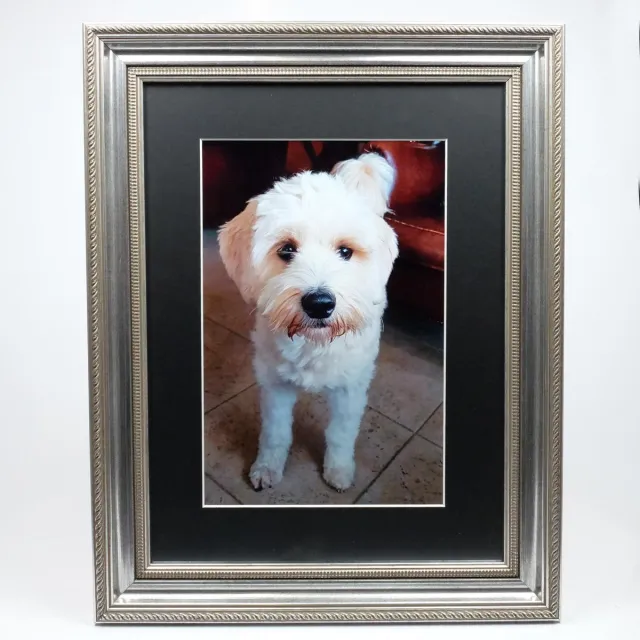Alle lijsten AL - Barok Fotolijst Met Zwart Passe-Partout - 50 x 60 cm zilver