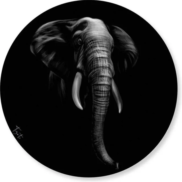Tizato Wandcirkel Olifant – Wanddecoratie Muurcirkel – Dibond – Ø 110 cm – Zwart Wit 110 x 110 cm