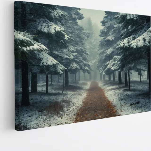 Saammp Canvas Schilderij - Landschap - Bomen tijdens de winter - Natuur - 70x50 - Foto op canvas - Wanddecoratie - Muurdecoratie Woonkamer - Slaapkamer decoratie - Canvas Print Multicolor