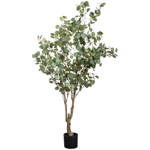Countryfield Eucalyptus i/pot l140b140h180 groen