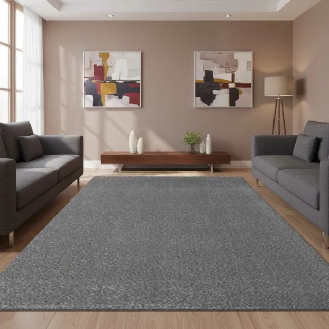 TapisTrend Harig tapijt Grijs 120x170 cm Modern, effen, hoogpolig vloerkleed met een poolhoogte van 25 mm voor de woonkamer, slaapkamer en eetkamer