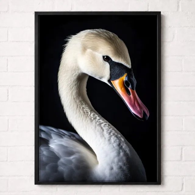 Kleurmedia Zwaan Poster - Vogelportretten Collectie - Dieren Posters - A2+ 43,2 x 61 cm Wit