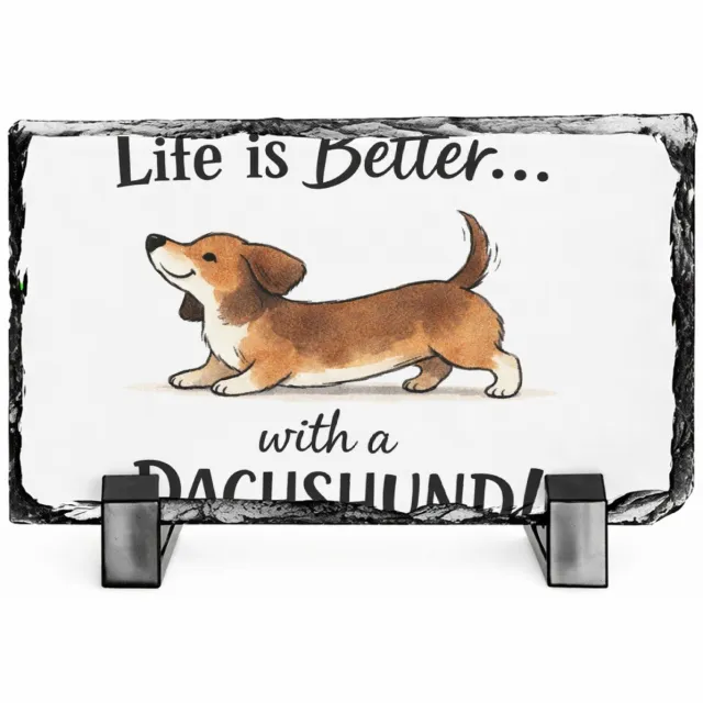 Mr Cadeautjes Leisteen rechthoek 14 x 9 - design Een grappige, trotse quote over een specifiek hobbydier of d | cadeau Wit