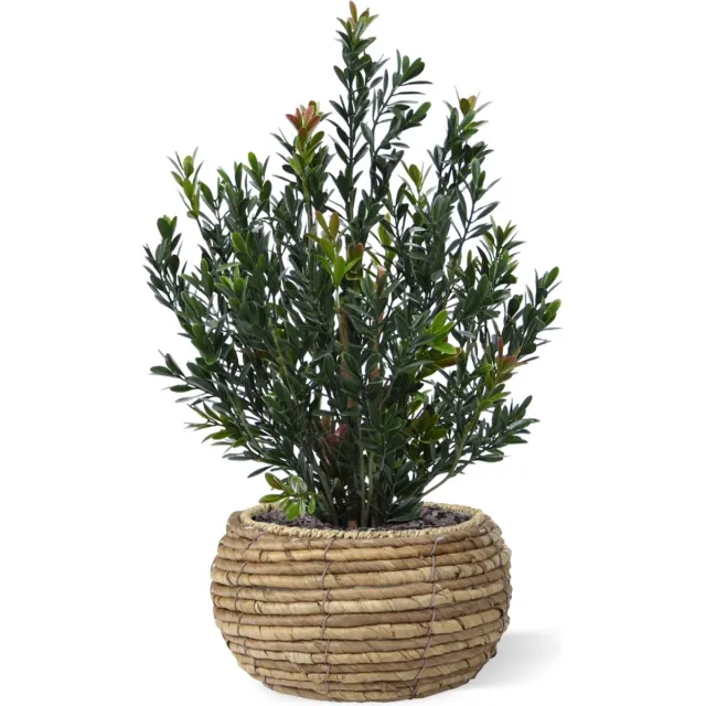 maxifleur Kunstplanten Kunst Buxus Haagplant 50cm Groen/rood