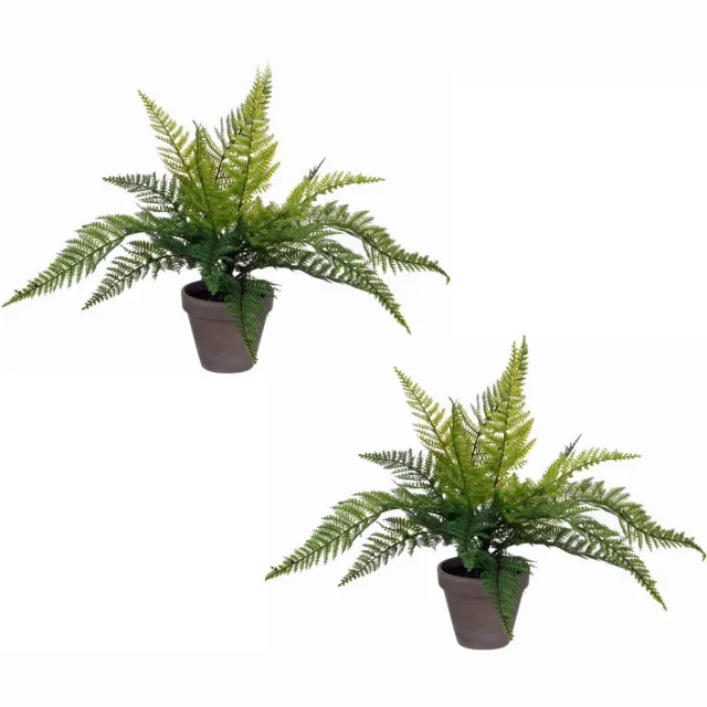 Mica Decorations Kunstplant - 2x stuks - varen - groen - 36 x 40 cm