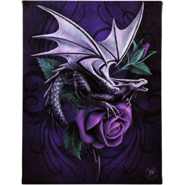 Anne Stokes Canvas - Dragon Beauty - Anne Stokes meerkleurig
