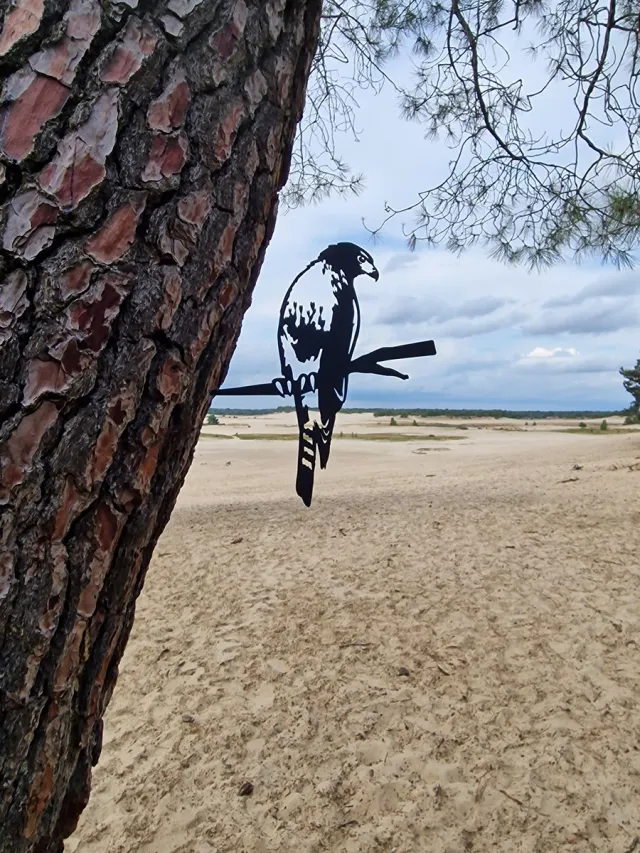 Wondersathome Metalen Boom Prikker - Boom Steker - Sperwer - Havik - Valk - Buizerd - Sparrowhawk - Buzzard - Hawk - Metalen Vogel - Tuin Vogel - Tuin Hanger - Tuindecoratie - Metal Bird - Falcon - Garden Ornament Zwarte Sperwer