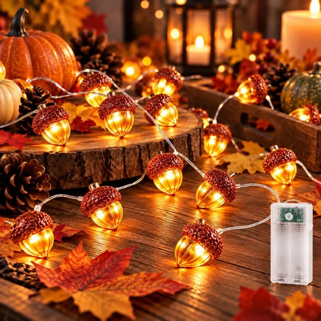 KZQ Eikel fairy lights herfst 2 meter met 20 LED's - Batterijgevoed - Herfstdecoratie voor binnen en buiten - Oranje