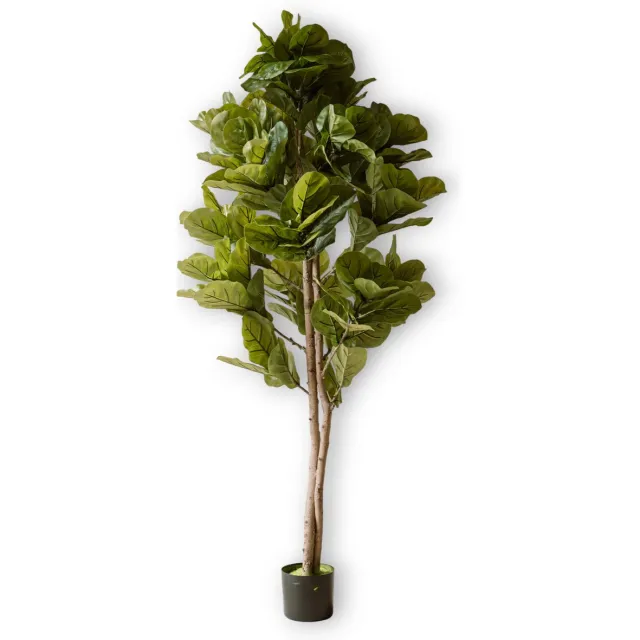 Indore Home Kunstplant Vijg 150 cm – Indore Silva – Ficus – Grote Kunst Kamerplant – Onderhoudsvrij Groen