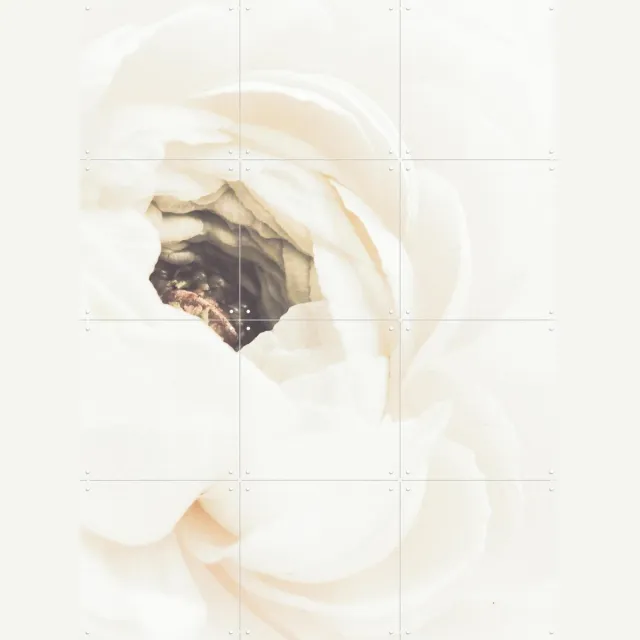 IXXI White Flower 01, 1x Studio II & Various - 60 x 80 cm - Grote wanddecoratie en posters - Realisme, Impressionisme, Minimalisme, Slaapkamer Beige / Wit