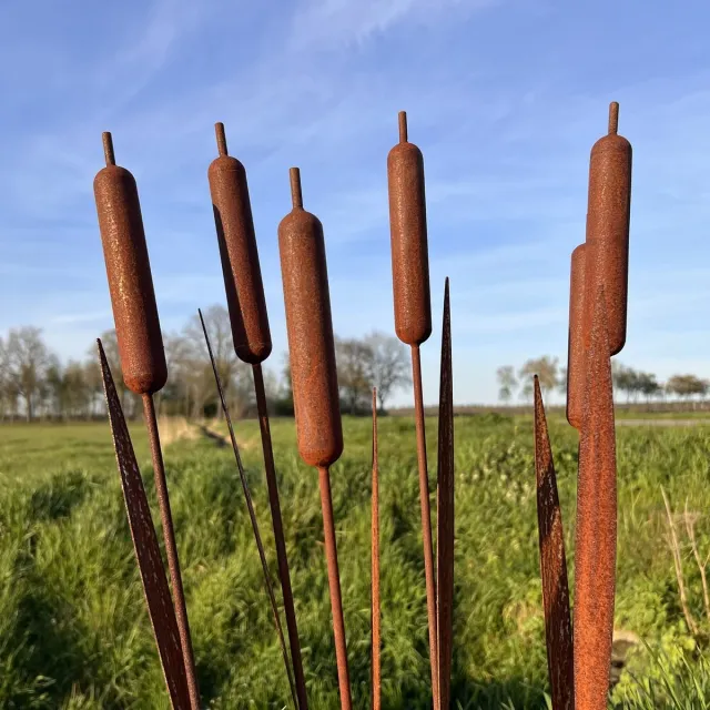 Diron Set van 6 tuinstekers - Lisdodde - tuindecoratie - metaal roest patina - 95 cm lang. 6 stuks