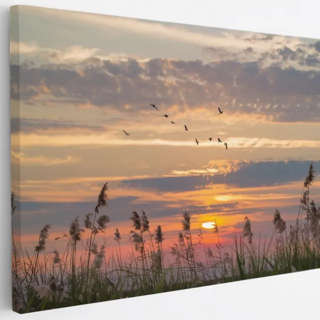 Saammp Canvas Schilderij - Nederland Tijdens zonsondergang - Zonsondergang - Landschap - Natuur - 30x20 - Foto op canvas - Wanddecoratie - Muurdecoratie Woonkamer - Slaapkamer decoratie - Canvas Print Multicolor