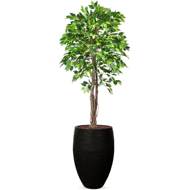HTT Decorations Kunstplant Ficus groen in vaas elegant Rib zwart H230 cm