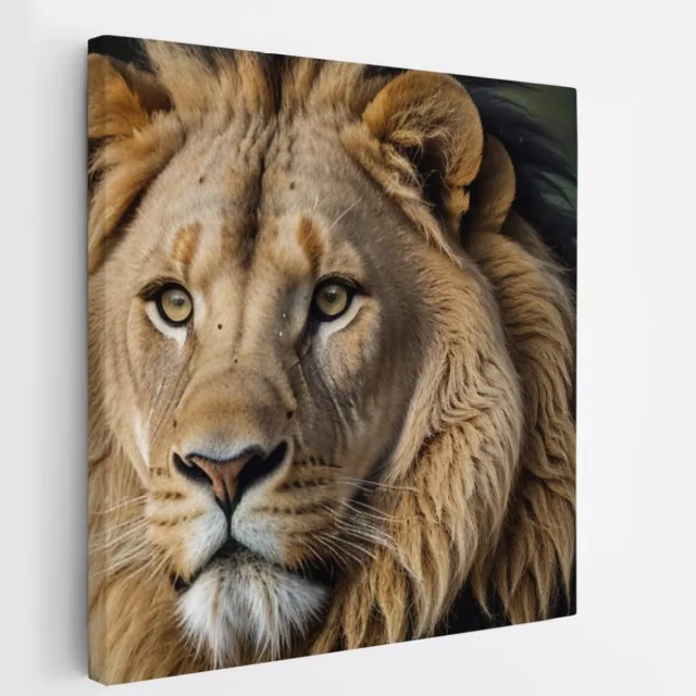 Saammp Canvas Schilderij - Leeuw - Portret - Dieren - 60x60 - Foto op canvas - Wanddecoratie - Muurdecoratie Woonkamer - Slaapkamer decoratie - Canvas Print Multicolor