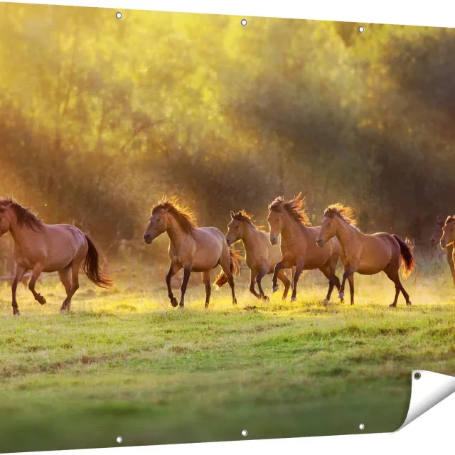 Gards Tuinposter Kudde Bruine Paarden in de Wei - 160x120 cm - Tuindoek - Tuindecoratie - Wanddecoratie buiten - Tuinschilderij Multikleur