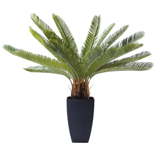 Kare Design Kunstplanten Cycas 78cm Kare Design Bruin