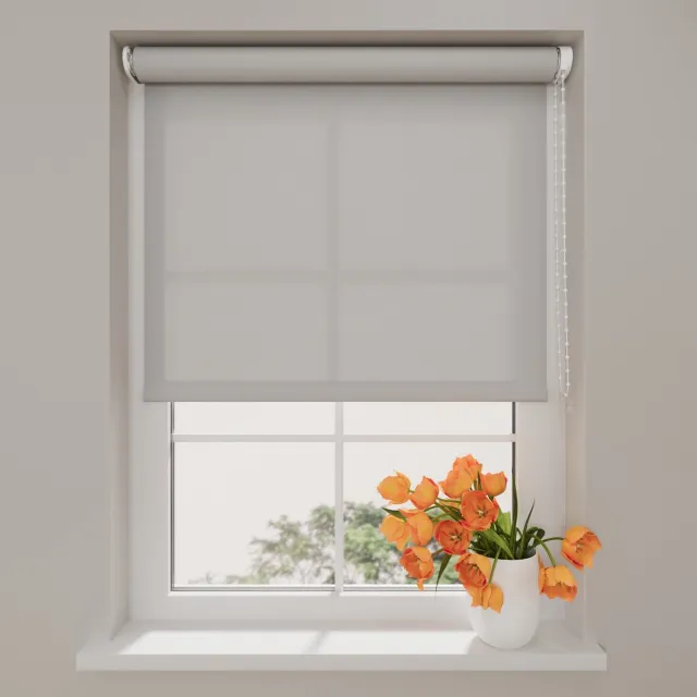 DTCH Rolgordijn lichtdoorlatend - Easy Base - Licht Grijs - 90 x 190 cm – Meerdere maten verkrijgbaar - 60 t/m 150 cm breed – Meekleurende achterzijde - Zonwering