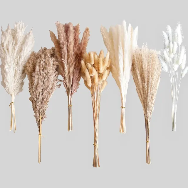 Famanu Gedroogd pampasgras boeket voor boho tafeldecoratie, mix van konijnenstaarten en pampasgras, geschikt voor bruiloften, babyshowers en huisdecoratie