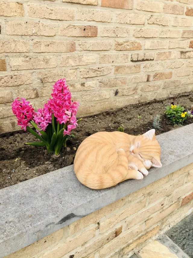 Farmwood kattenbeeld | slapende rood/witte S2 | afmeting: 11x28x21 cm
