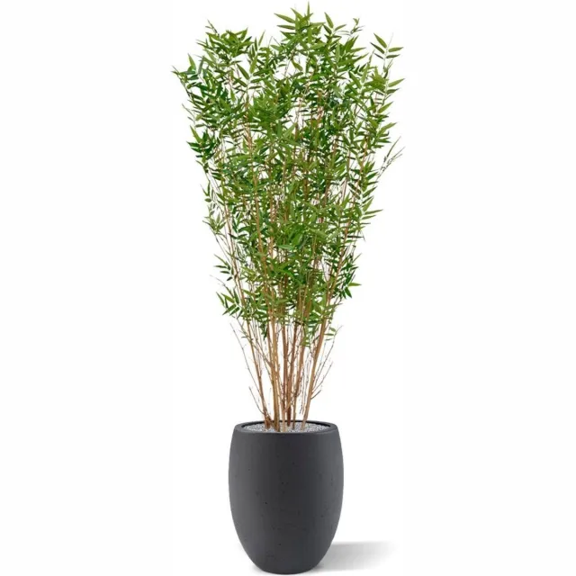 maxifleur Kunstplanten Oriental Bamboe kunstboom 160cm Groen