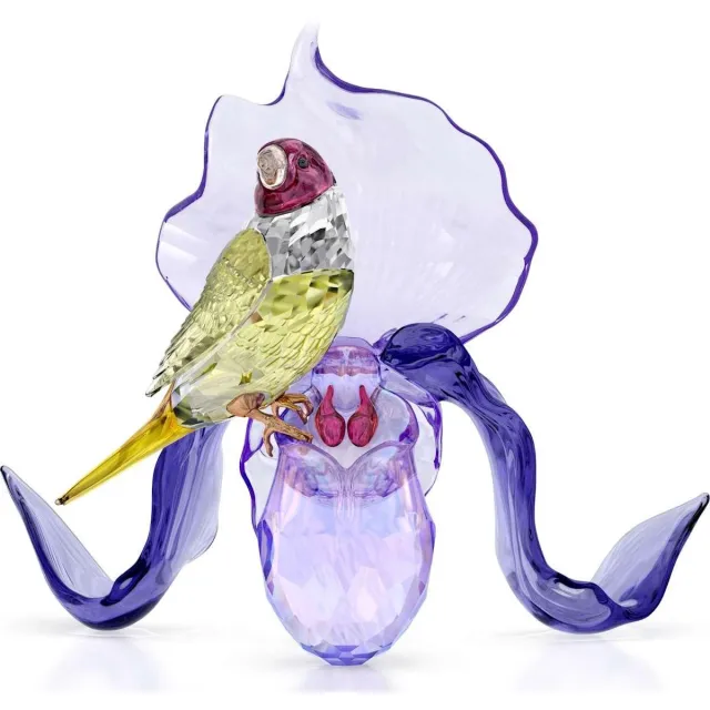 Swarovski beeldjes Idyllia Gouldiaanvink en Orchidee 5675211 | Paars kristalbeeldje van Swarovski | kleurrijke natuurdecoratie en elegante stijl