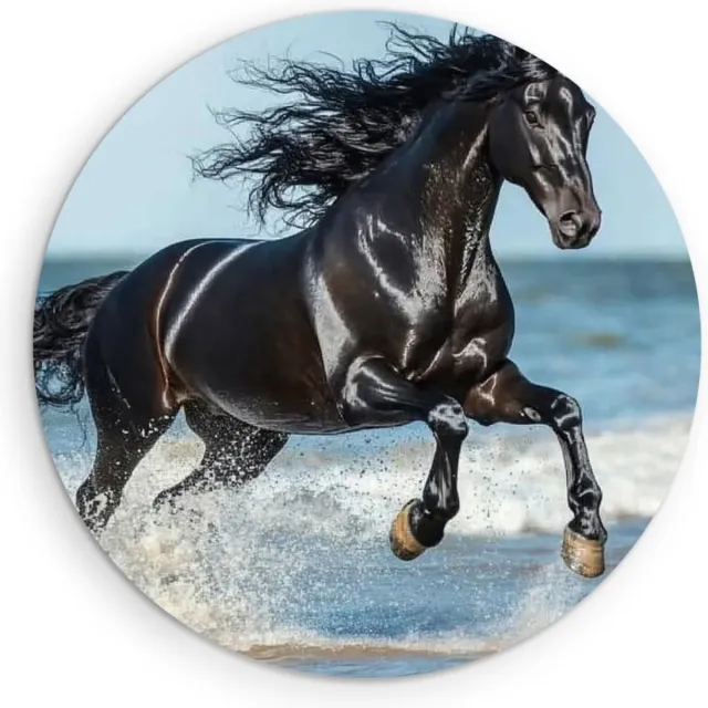 Saammp Muurcirkel Hout - Paard in de zee- Dieren - Natuur - Ø 80 - Wandcirkel - Wanddecoratie Cirkel - muurdecoratie Woonkamer - Slaapkamer decoratie - Rond Schilderij