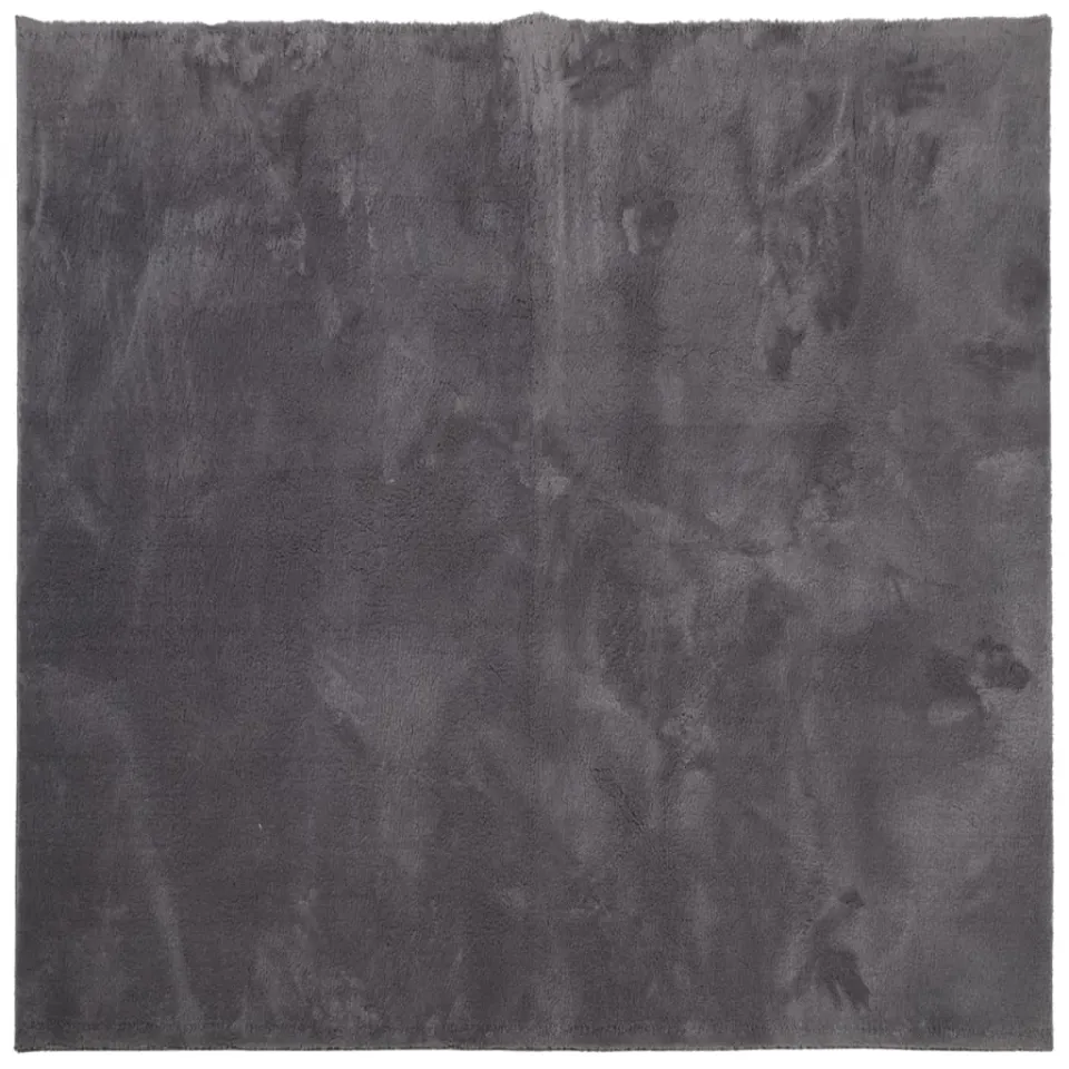 vidaXL Vloerkleed HUARTE laagpolig zacht wasbaar 120x120 cm antraciet, foto 3