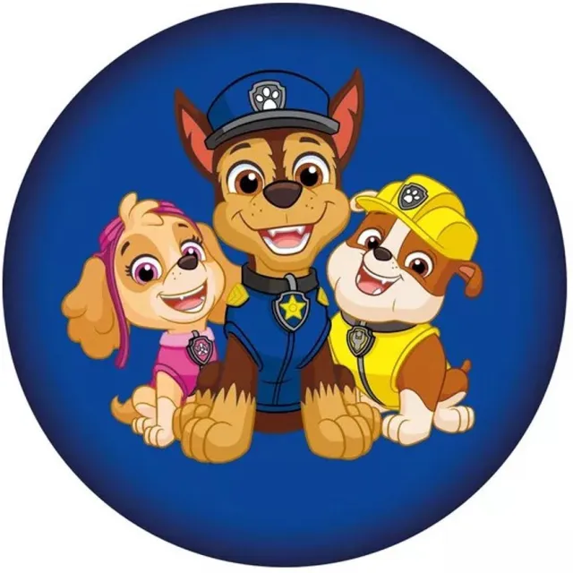 PAW Patrol sierkussen Squad 37 x 37 cm Blauw
