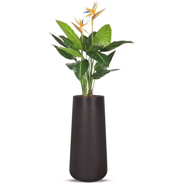 HTT Decorations Kunstplant Strelitzia in Lucas H195 cm Zwart