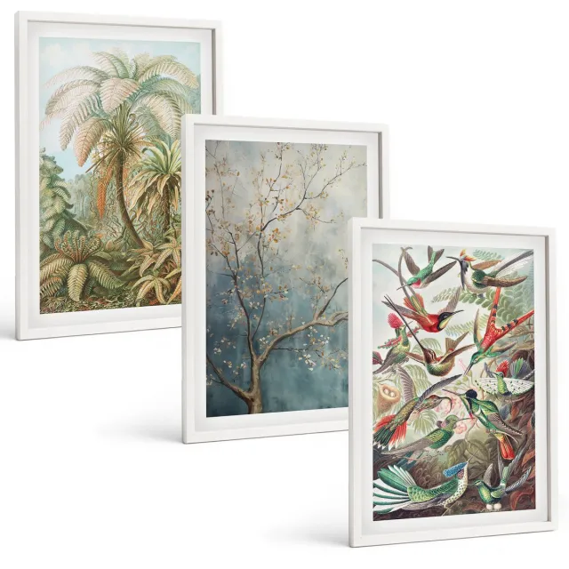 Coloray 3-Delige Schilderij Set - Tropische Planten En Kleurrijke Vogels In De Natuur - 40 x 60 - Stijlvolle Muurdecoratie - Slaapkamer - Woonkamer Decoratie Witte lijst