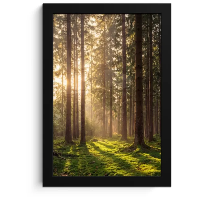 FrameYourWall Poster in lijst - Fotolijst 20x30 cm - Posters - Bos - Gras - Zonlicht - Posterlijst zwart - Decoratie - Wanddecoratie woonkamer - Muurdecoratie slaapkamer