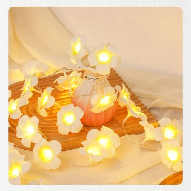 Namajunas slinger licht in de vorm van frangipani - 6 meter met 40 lampjes - USB-voeding - sfeervolle decoratieve slinger verlichting - energiezuinig - spatwaterdicht - Geschikt voor de slaapkamer, woonkamer, tuin, patio, enz