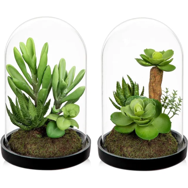 JGS Premium - Kunstmatige Planten - 2 Stuks Kunstmatige Succulenten in Glazen Fles Groene Planten voor Thuisdecoratie