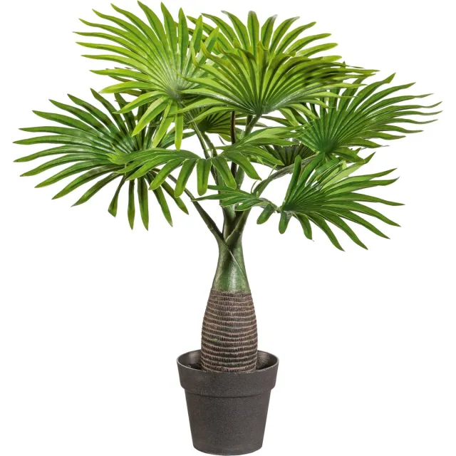 Goodplants Dwerg waaierpalm kunstplant - 45cm - Kunstplanten voor binnen - Kunstpalm Dwerg Waaier - Groen