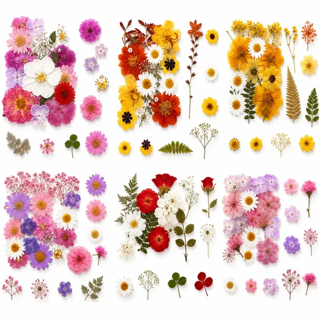 BOTC Natuurlijk Gedroogde Bloemen - Droogbloemen - 108 Stuks - Gedroogde Bloemen Set van 6 stuks - Echte Gedroogde Bloemen en Vlinders voor Resin Art, Sieraden Maken, Scrapbooking en DIY Decoratie Geel, rood, roze