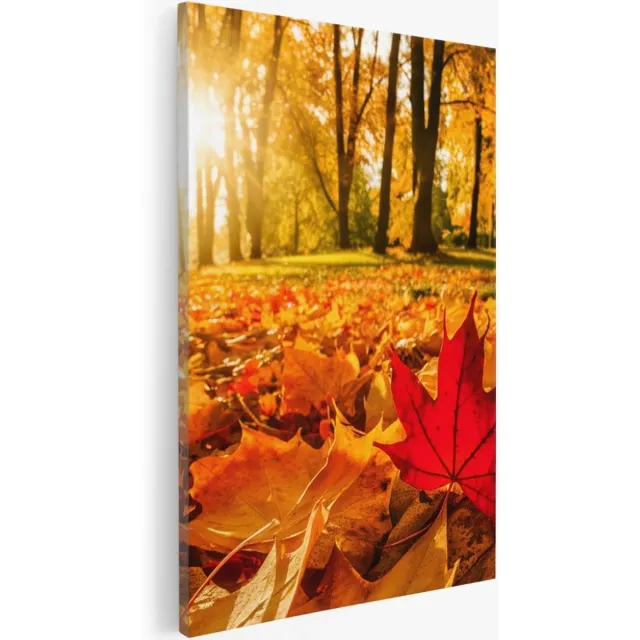 Saammp Canvas Schilderij - Rood Herfst Blad - Natuur - Bloemen - 100x150 - Foto op canvas - Wanddecoratie - Muurdecoratie Woonkamer - Slaapkamer decoratie - Canvas Print Multicolor