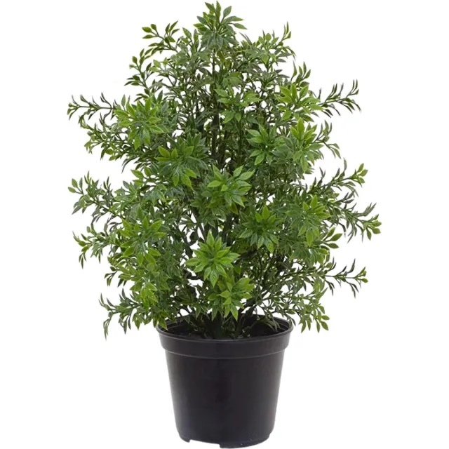 maxifleur Kunstplanten Eucalyptus kunstplant 30cm - UV bestendig in pot Groen