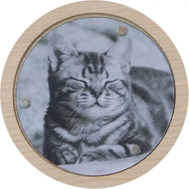 Furniteam Wand Kapstok Met Magnetische Fotolijst, Afmeting: D20xH20 cm, Naturel