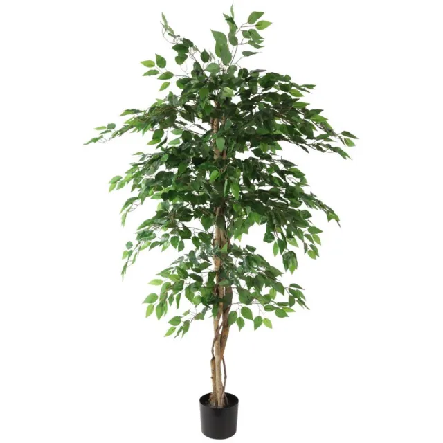 Countryfield Ficus benjamina 140x140x180 cm groen Countryfield onbekend