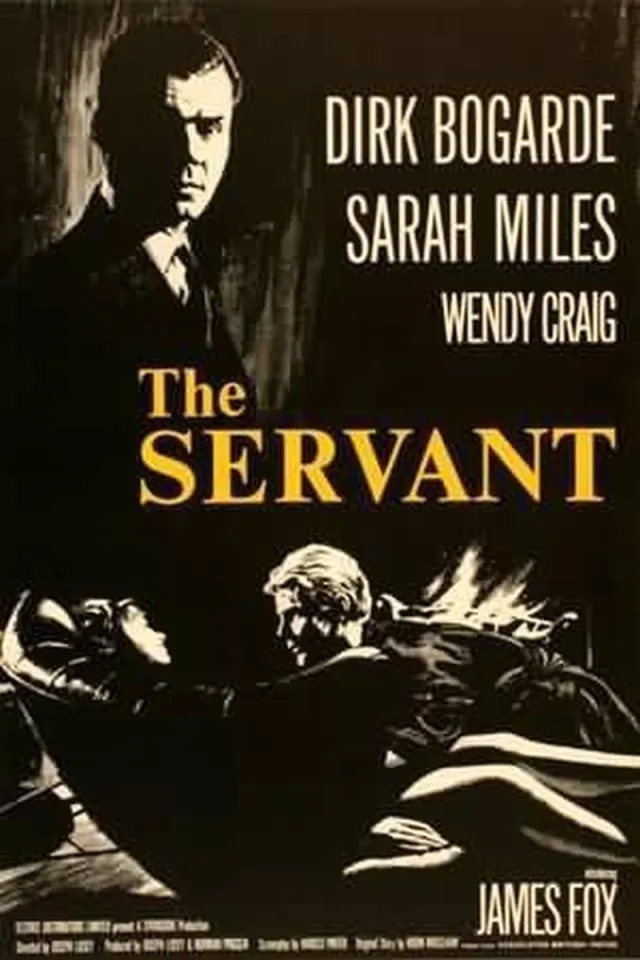 Catch Projecten Klassieke filmposter - The Servant Kleur