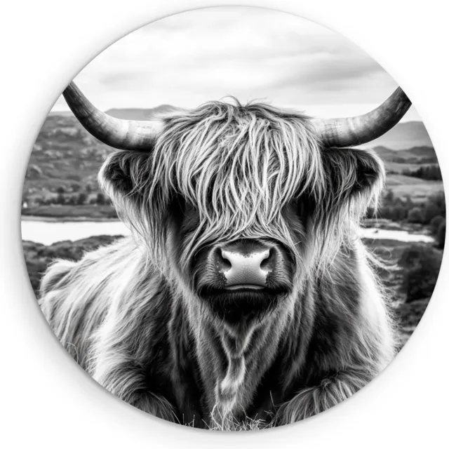 Saammp Forex Muurcirkel - Schotse Hooglander Koe - Zwart-Wit - Dieren - Landschap - Ø 90 - Wandcirkel - Wanddecoratie Cirkel - muurdecoratie Woonkamer - Slaapkamer decoratie - Rond Schilderij