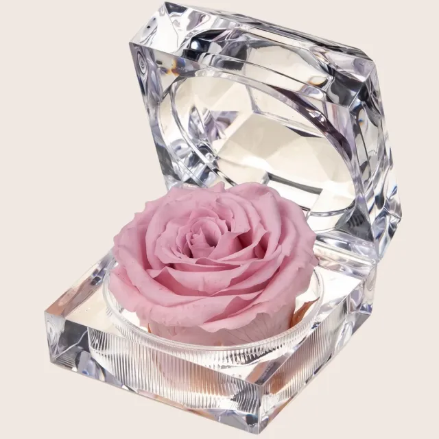 RoseAmor Longlife Roos in Kristallen Cadeaudoosje – Mini Houdbare Echte Roos – Lichtroze – Cadeau voor Haar