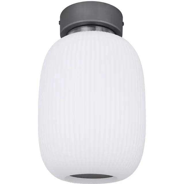 Globo Lighting Plafondlamp Woonkamerlamp Slaapkamerlamp Keukenlamp ovaal, metaal glas grafiet nikkel, 1x LED 21W 1237Lm 3000K warm wit, H 32,5 cm