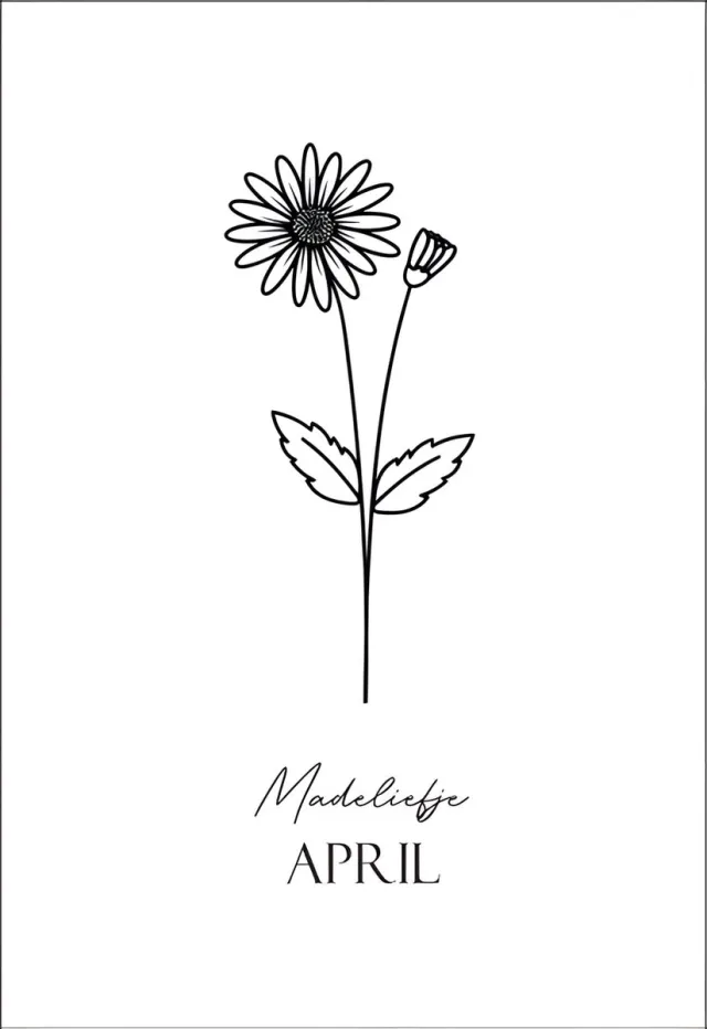 NUUW at home Geboortebloem April Wanddecoratie - Madeliefje - 20x30cm - Stijlvolle Muurdecoratie - NUUW at home wit